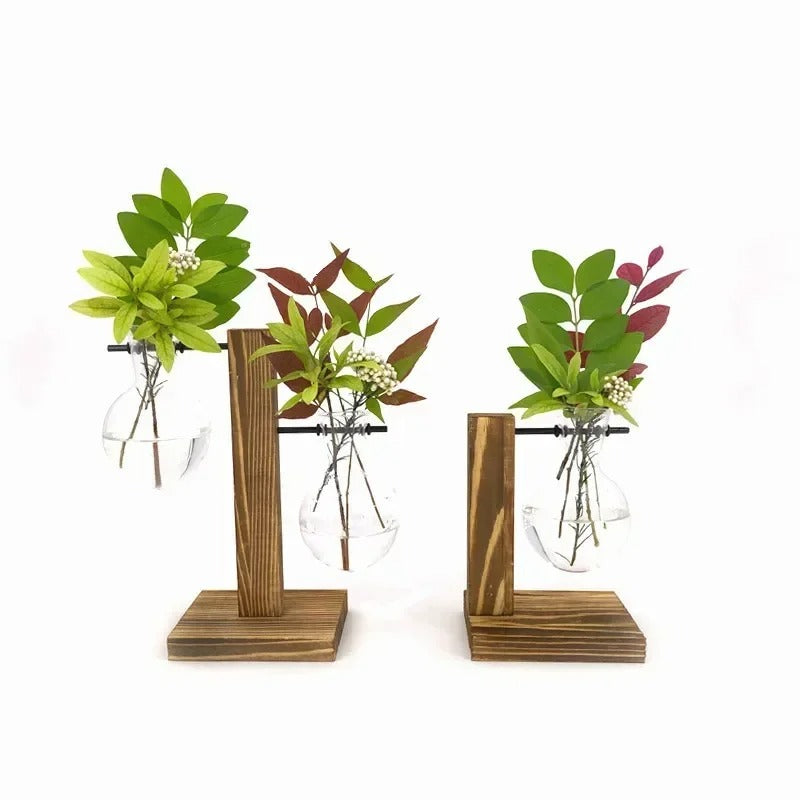 Terrarium Vase – HomeFine