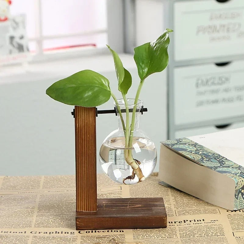 Terrarium Vase - HomeFine Single Vase