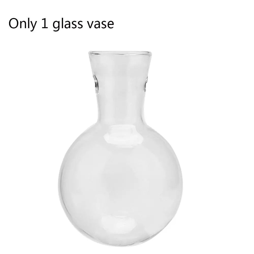 Terrarium Vase - HomeFine Glass Bottle Alone