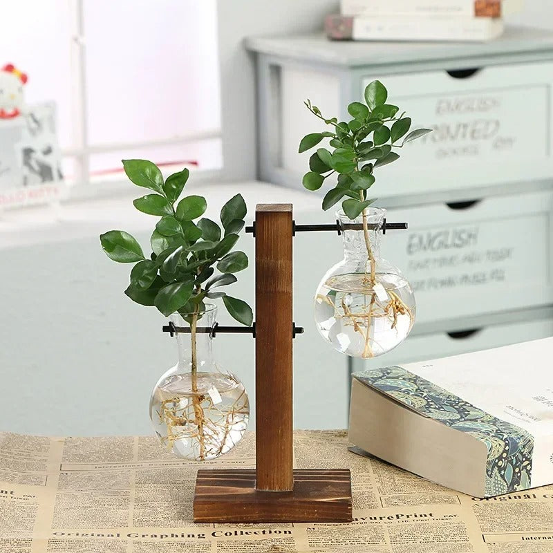 Terrarium Vase - HomeFine Multi-Level Double Vase