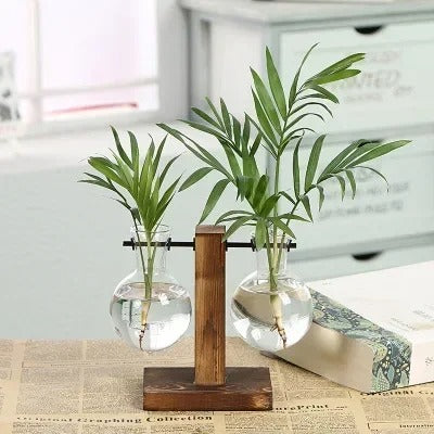 Terrarium Vase - HomeFine Double Vase